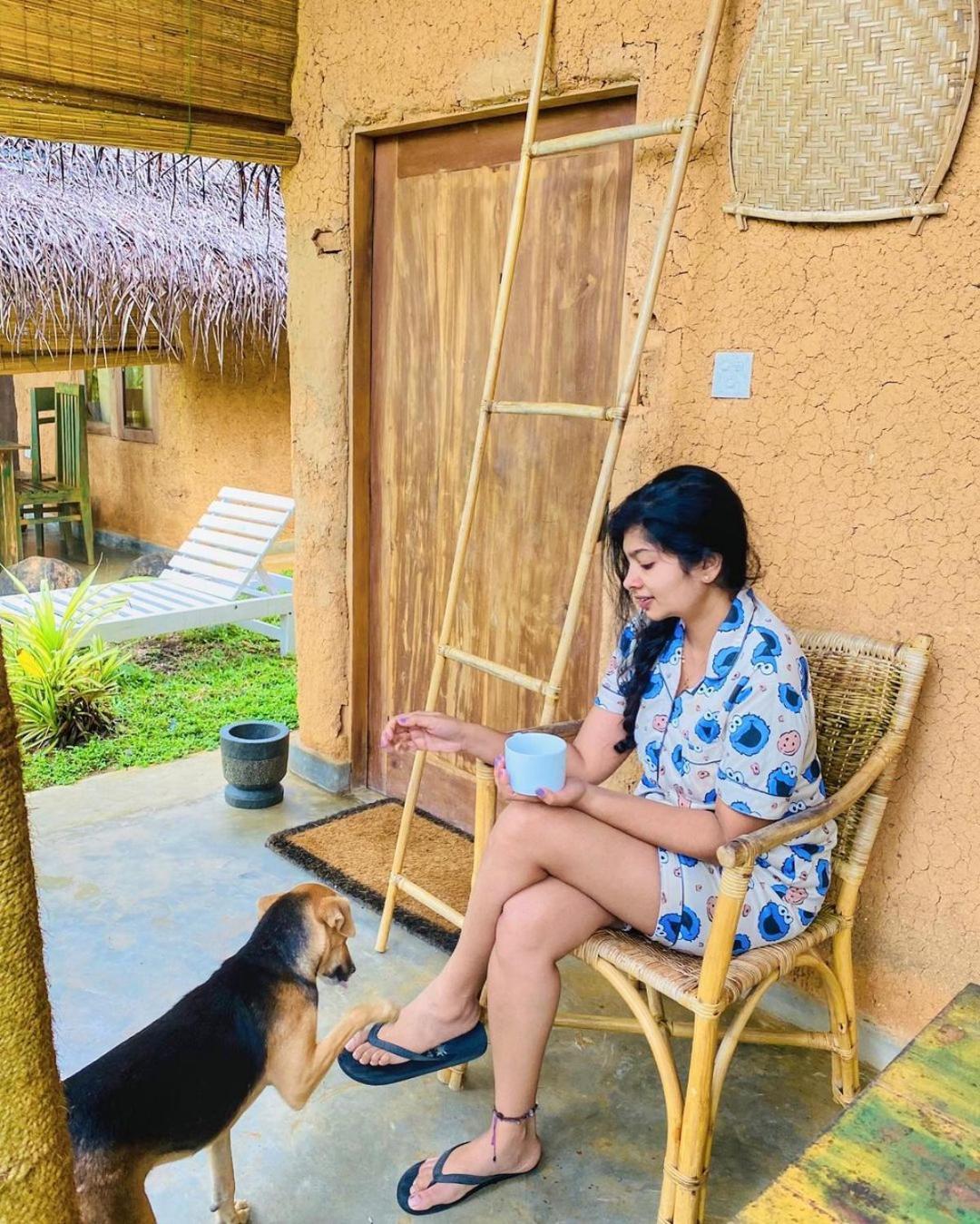 Sea View Clay House Hotel Dikwella Ngoại thất bức ảnh